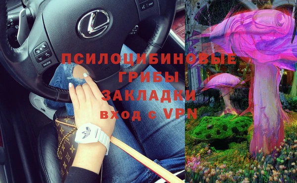ешки Белоозёрский